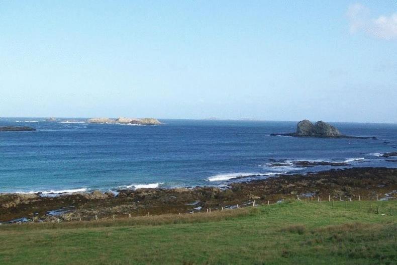 The Seaview Tavern Ballygorman Kültér fotó